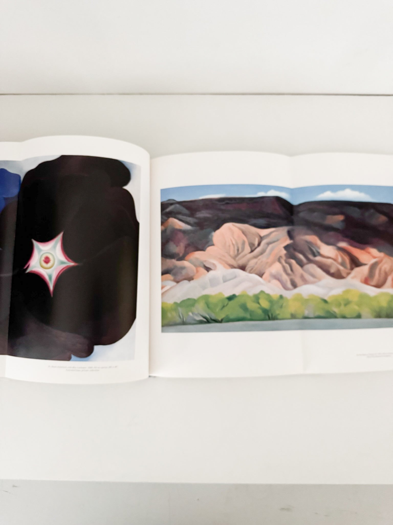 Georgia O’Keefe Coffee Table Book