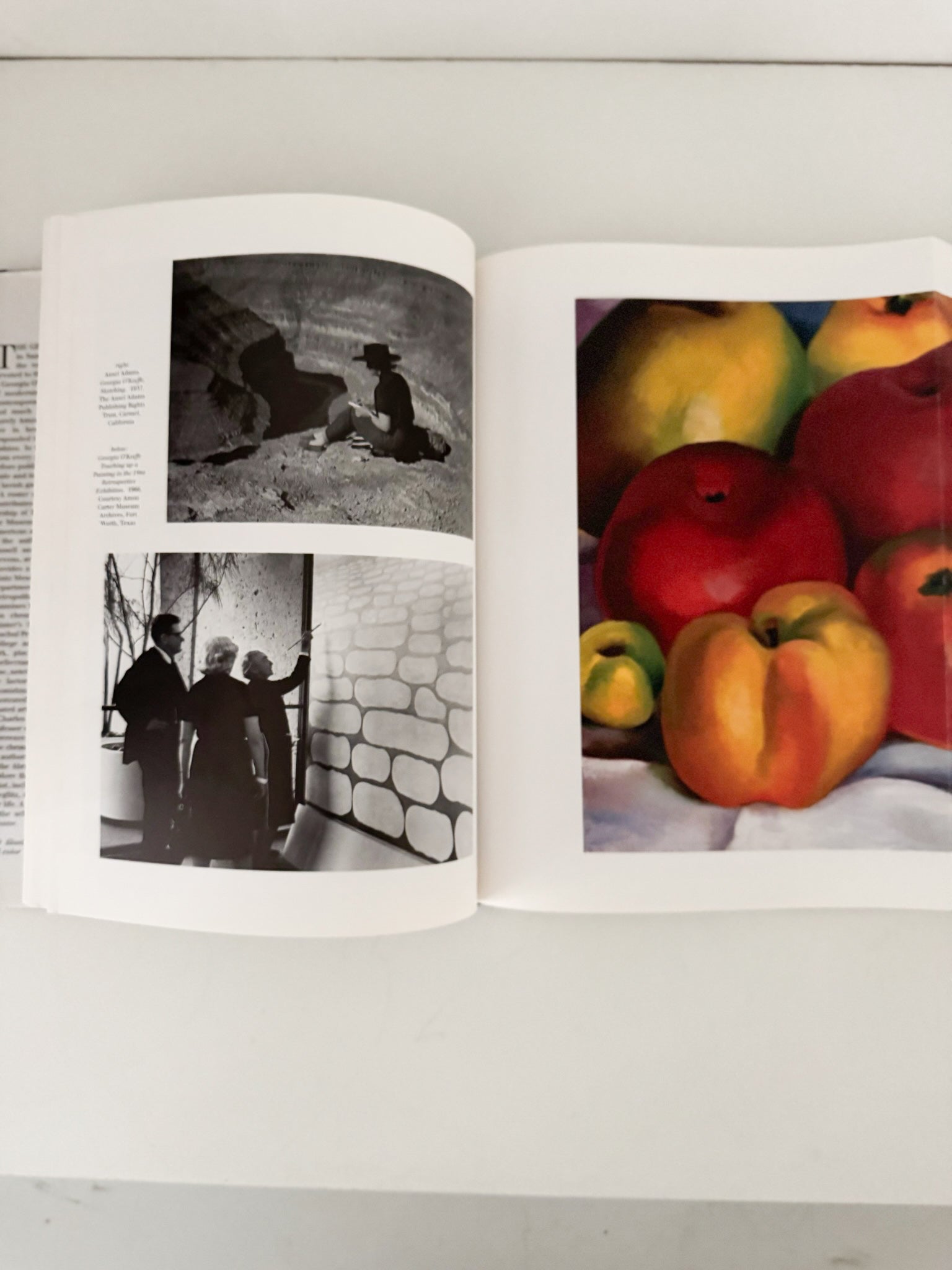 Georgia O’Keefe Coffee Table Book