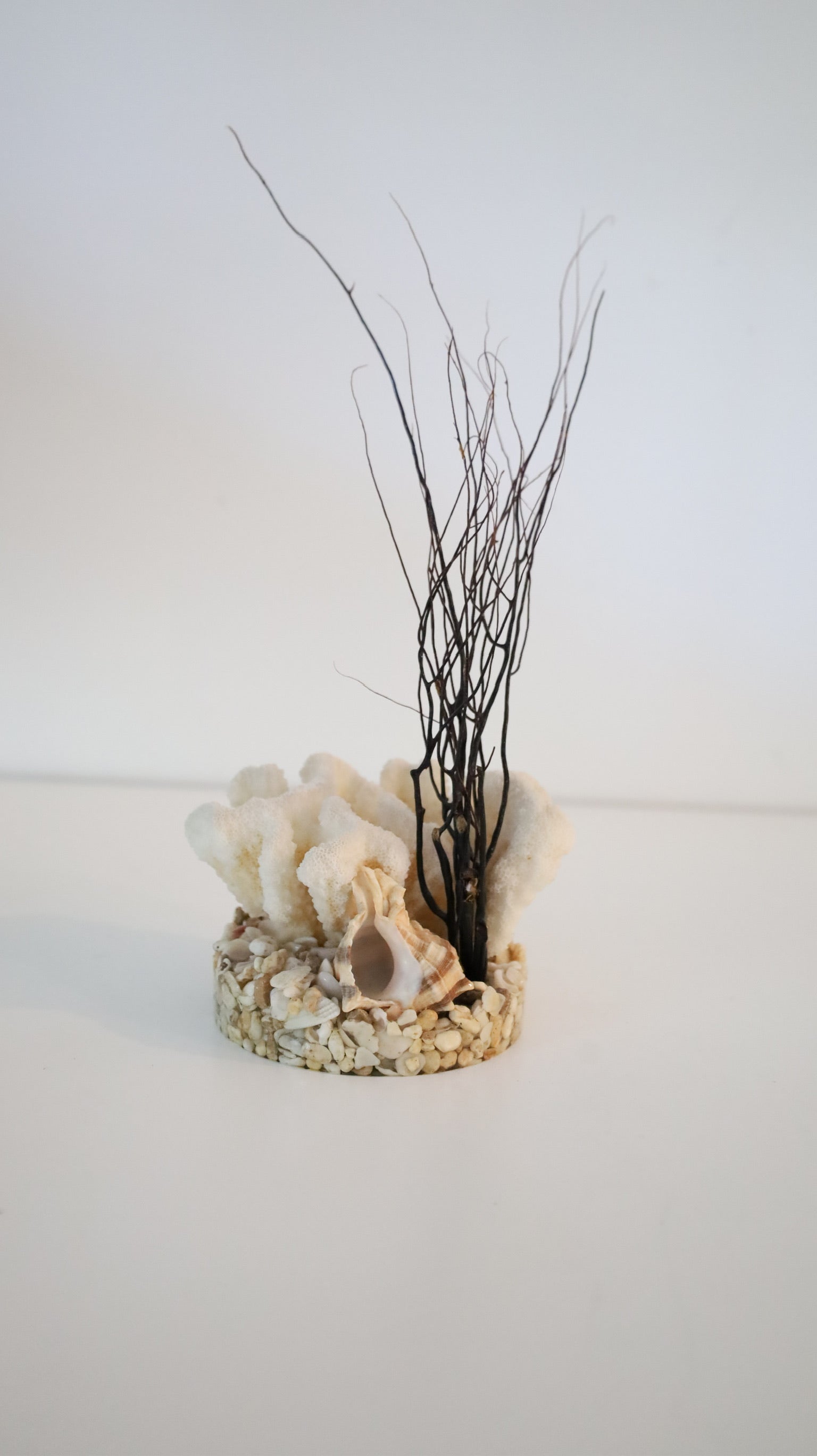 Vintage Hawaiian Black Coral & Shell Sculpture by Zelram