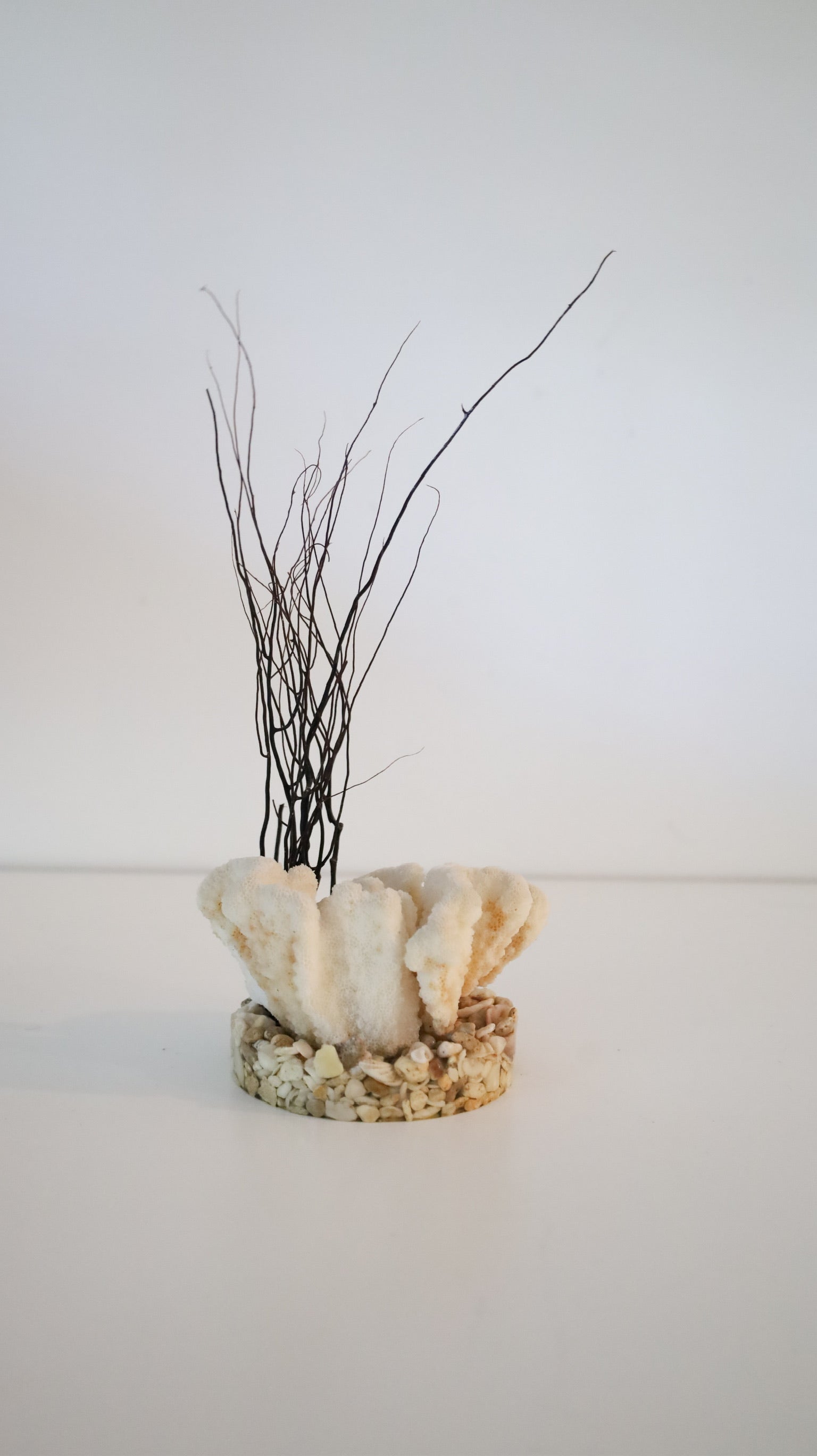 Vintage Hawaiian Black Coral & Shell Sculpture by Zelram