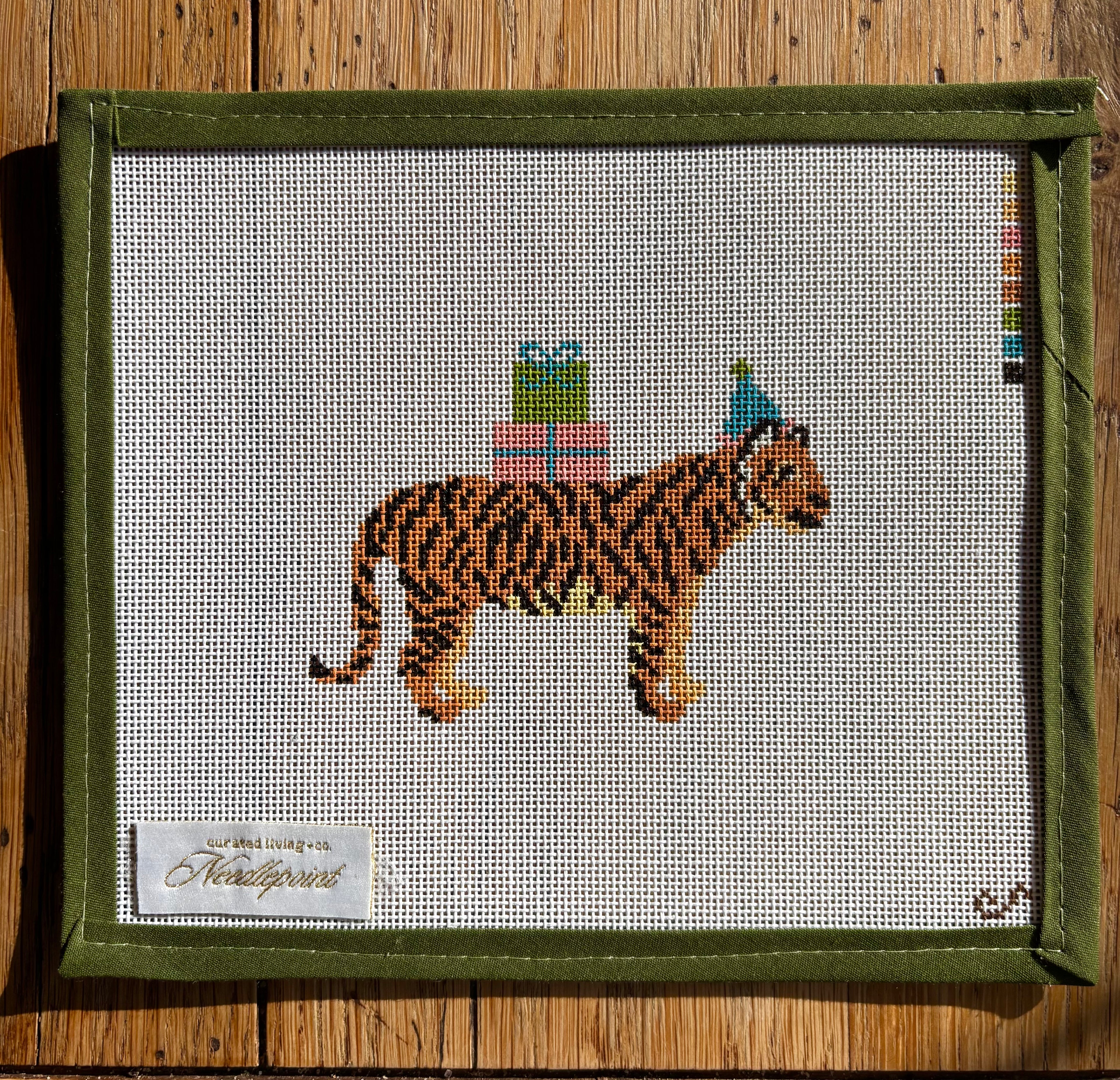 Party Tiger Canvas Kit